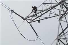 民營(yíng)光纜企業(yè)優(yōu)勢(shì)凸顯，未來光纜產(chǎn)業(yè)可持續(xù)發(fā)展