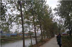 無人機精準定位查光纜鳥患位置